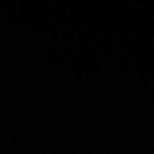 Meet your Posher, Darlene